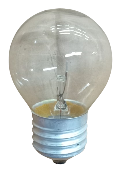 Bulb (big)