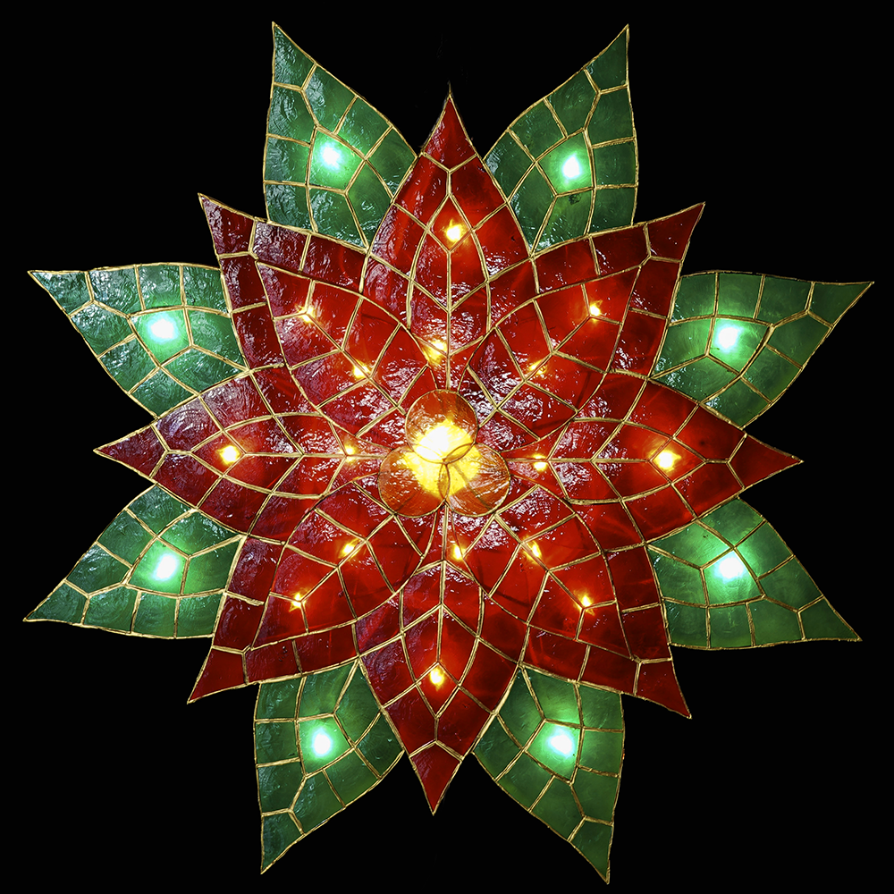 FELIZ POINSETTIA Colored (Medium)