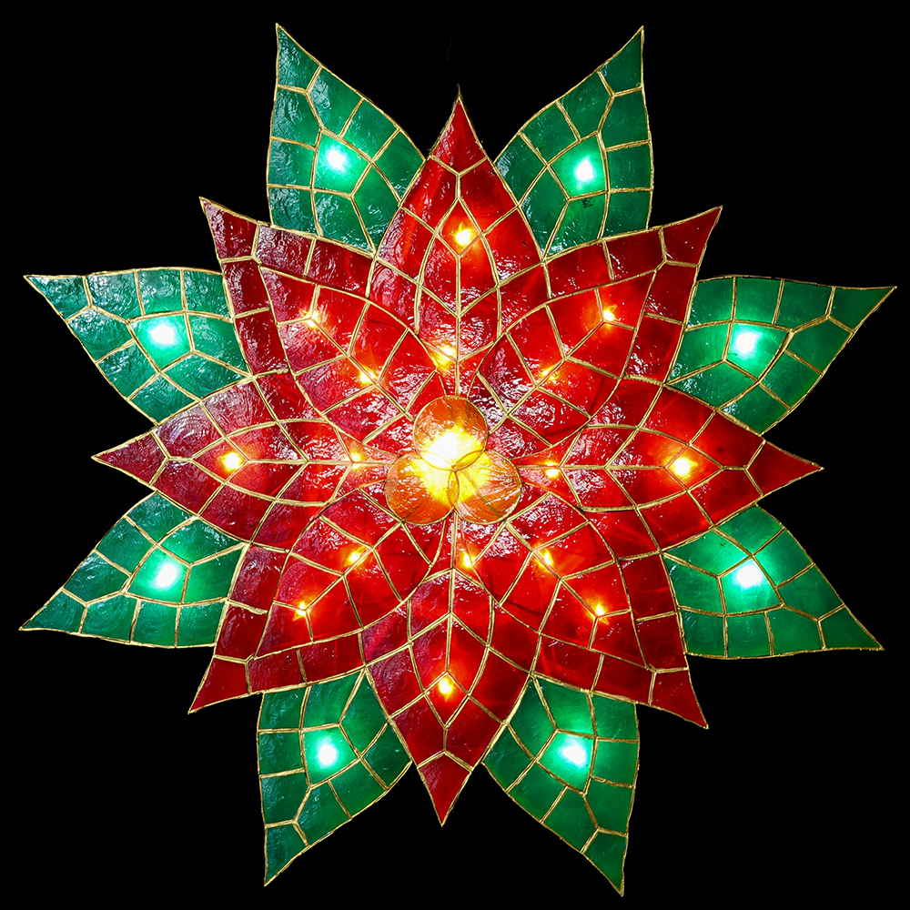 FELIZ POINSETTIA Colored (X-Large)